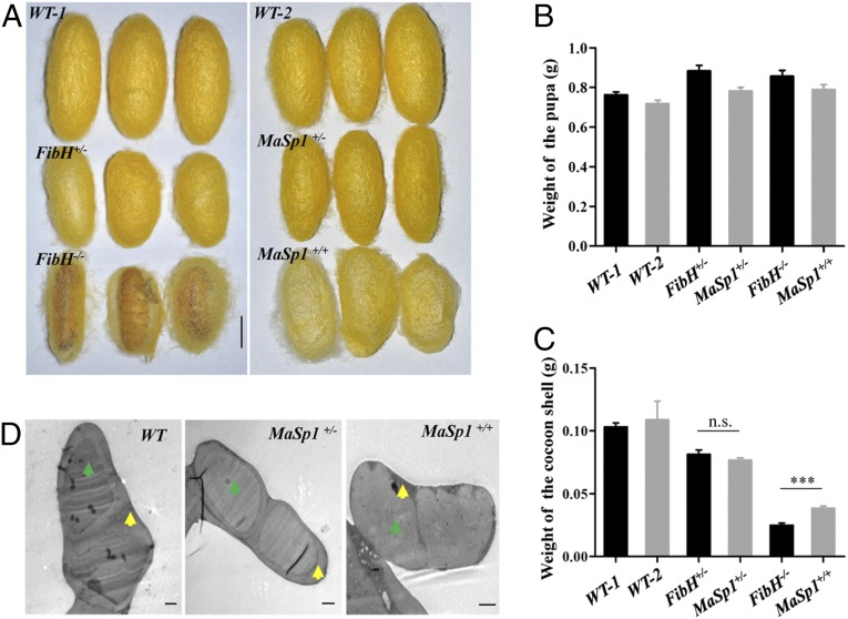 Fig. 4.