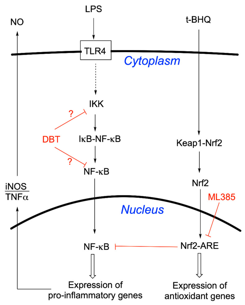 Figure 17