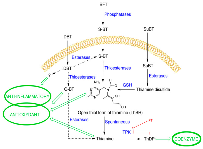 Figure 18