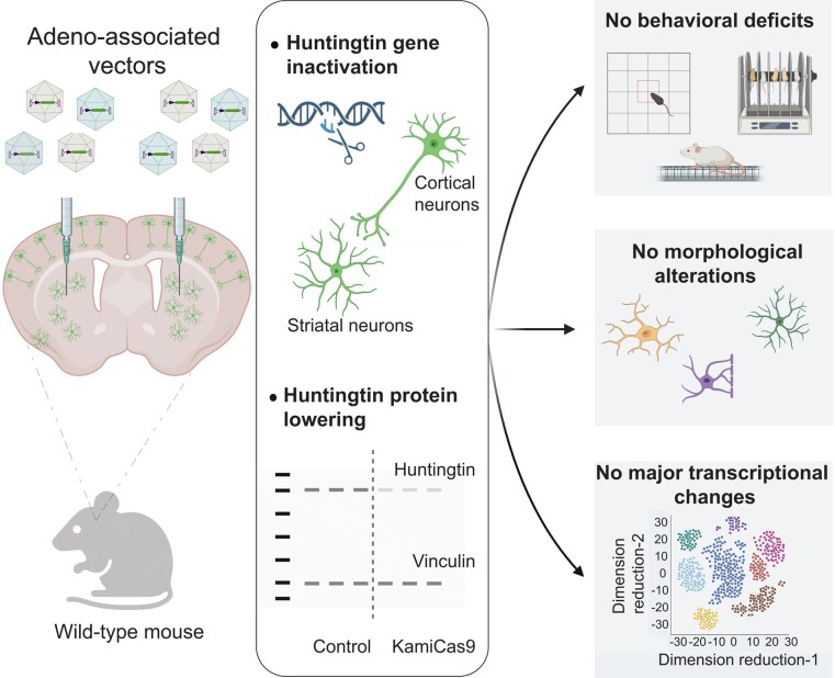 Graphical Abstract