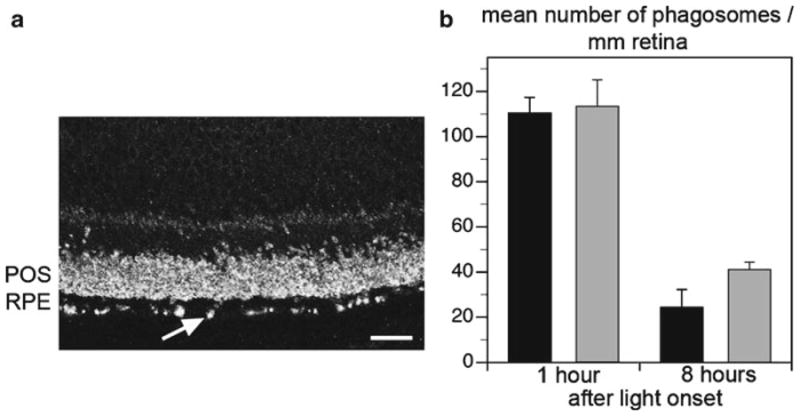 Fig. 93.2