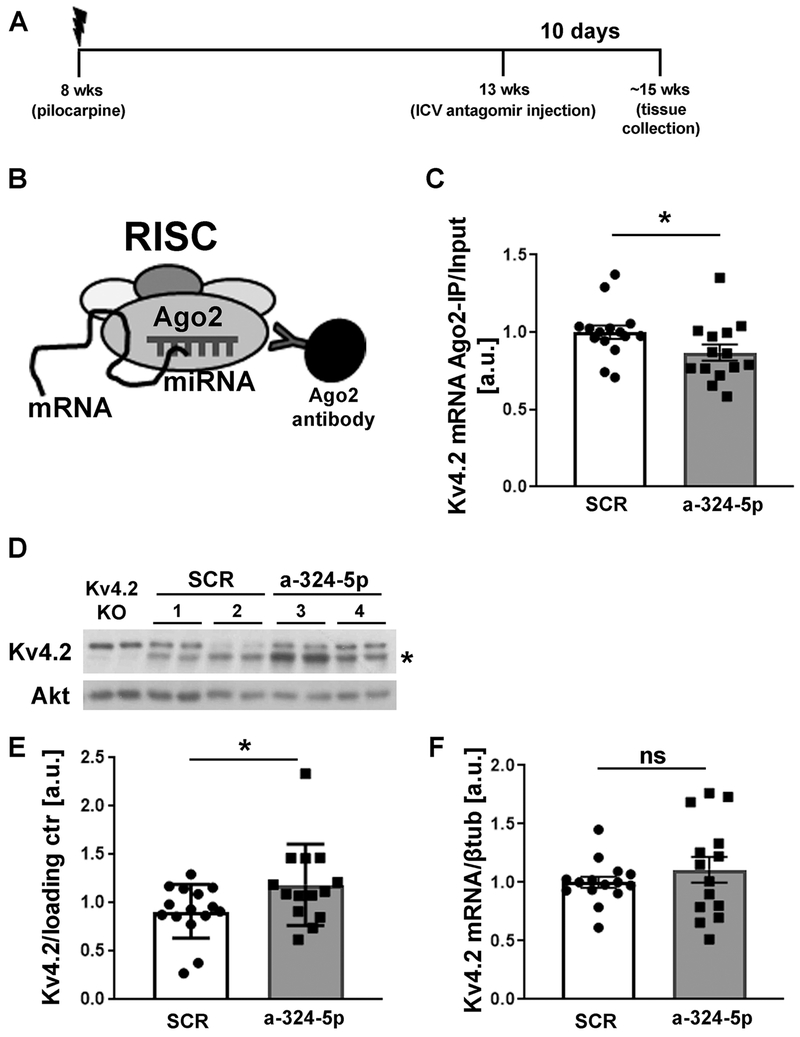 Figure 4: