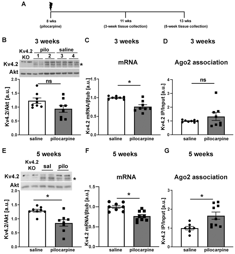 Figure 6: