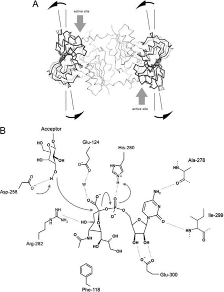 FIGURE 3.