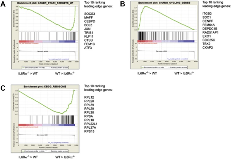 Figure 6—figure supplement 2.