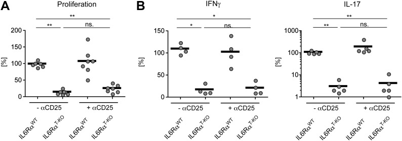 Figure 5—figure supplement 1.