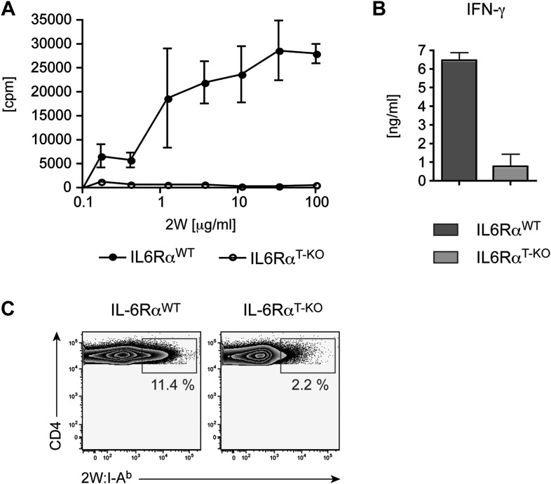 Figure 1—figure supplement 5.