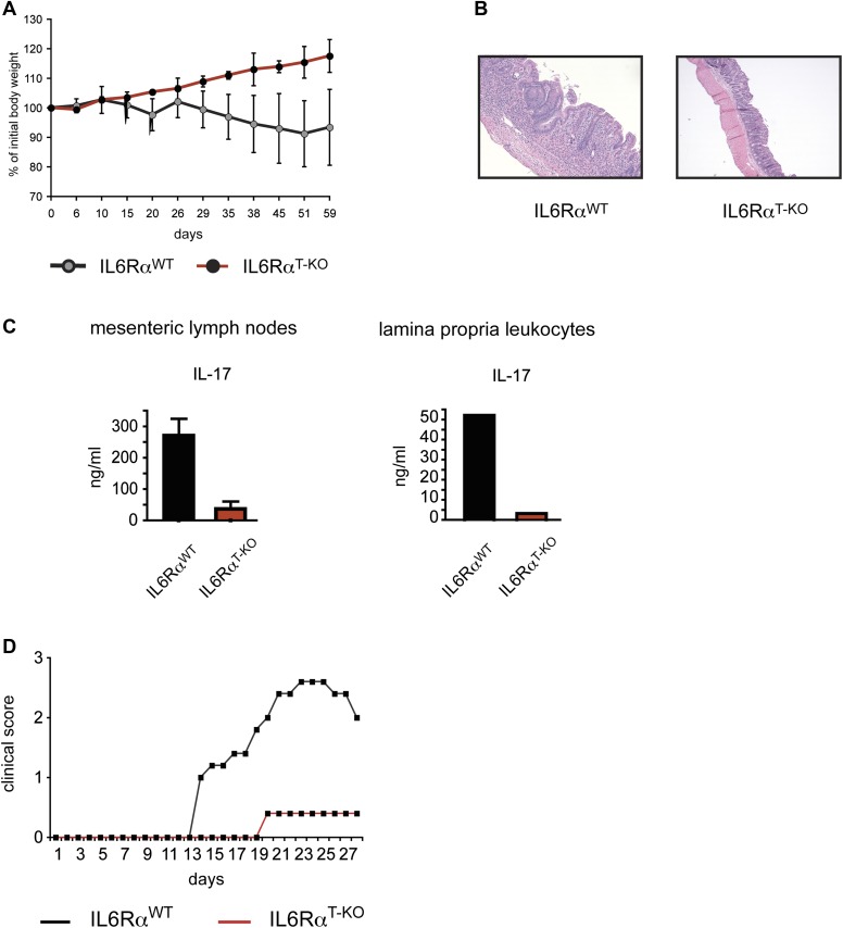 Figure 1—figure supplement 3.