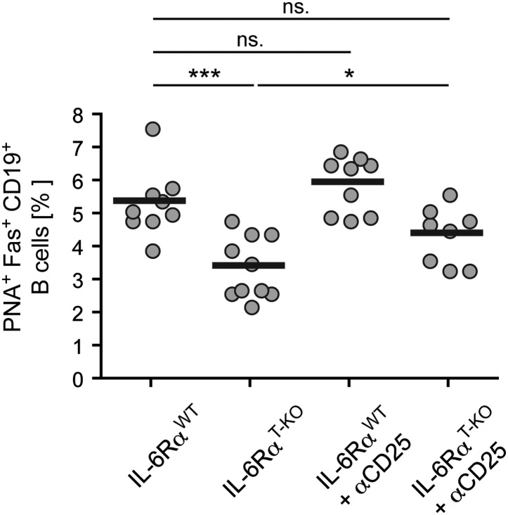 Figure 4—figure supplement 1.