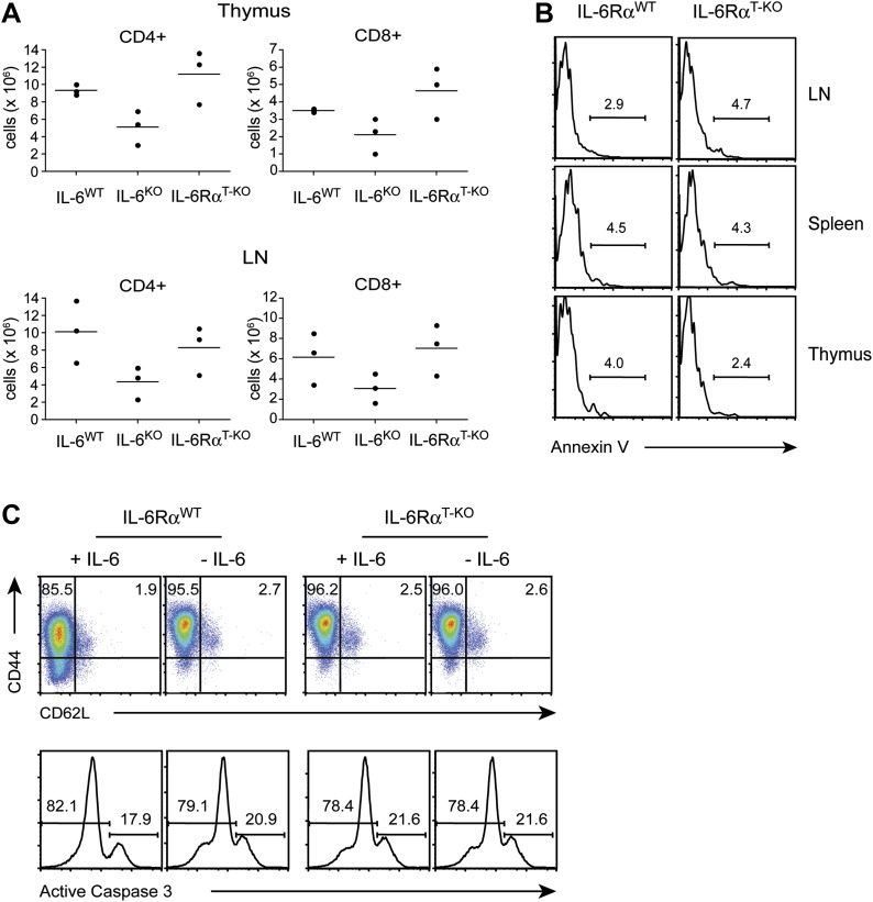 Figure 1—figure supplement 2.