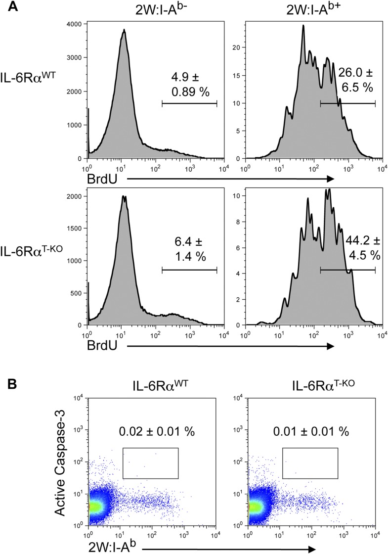 Figure 1—figure supplement 6.