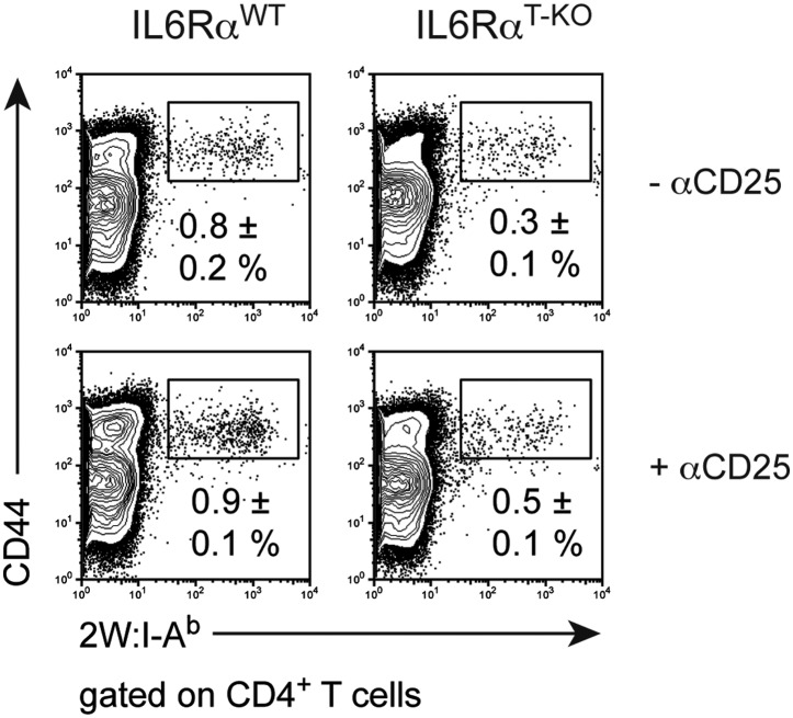 Figure 5—figure supplement 2.