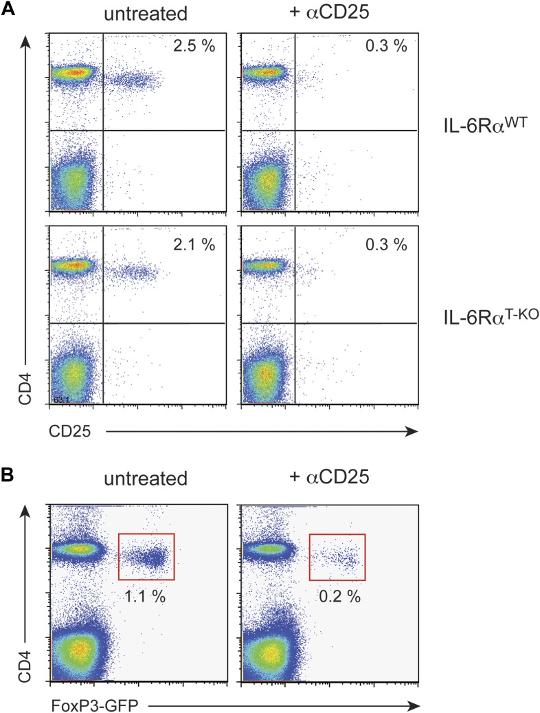 Figure 2—figure supplement 1.