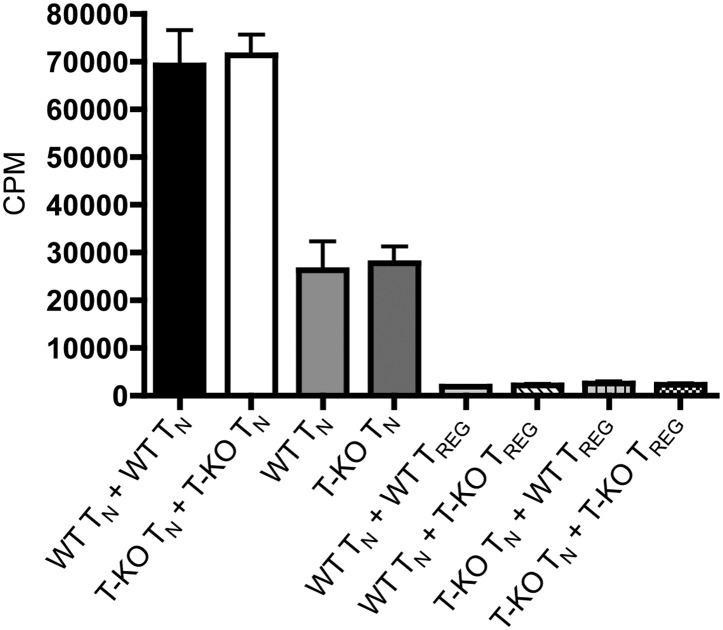 Figure 2—figure supplement 3.