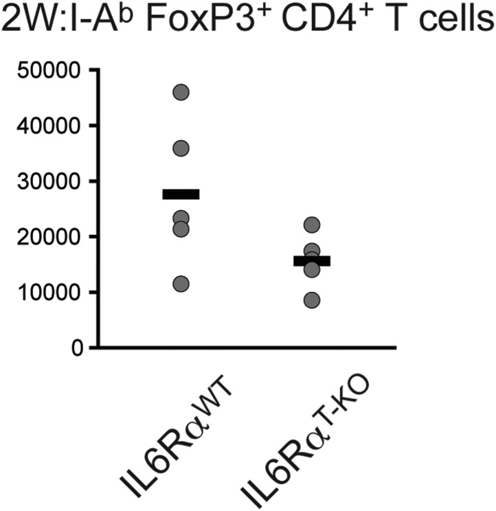 Figure 2—figure supplement 4.