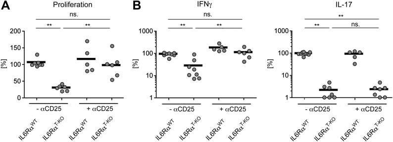 Figure 2—figure supplement 2.