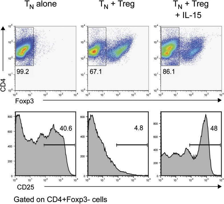 Figure 6—figure supplement 1.