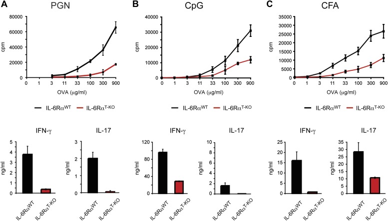 Figure 1—figure supplement 4.