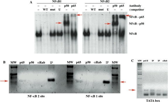 Figure 4.