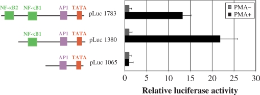 Figure 5.