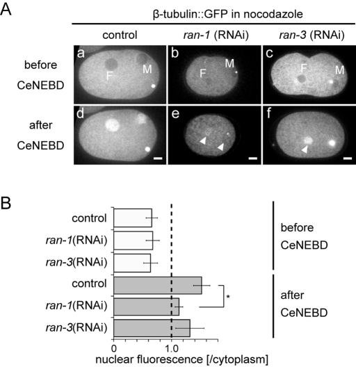 FIGURE 5: