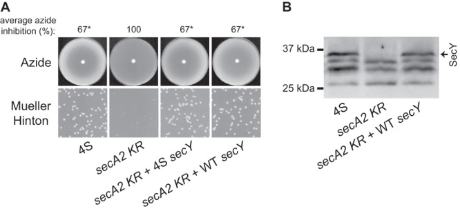 Fig 5