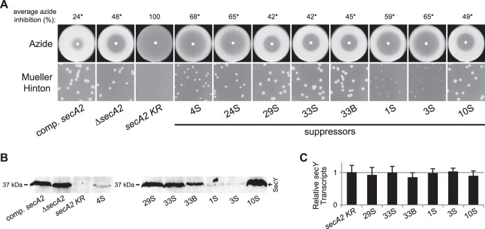 Fig 6