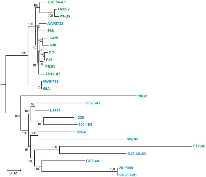 FIGURE 2