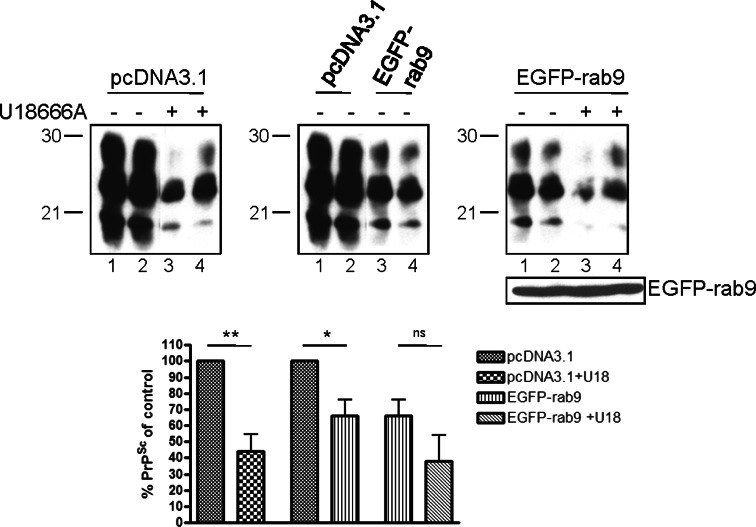 Fig. 6