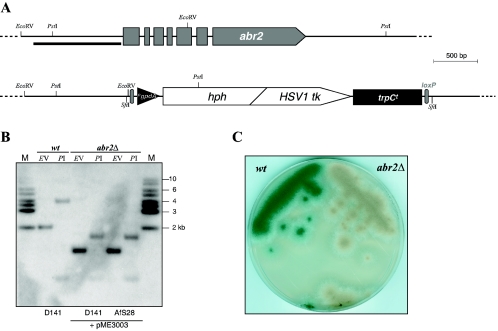 FIG. 2.