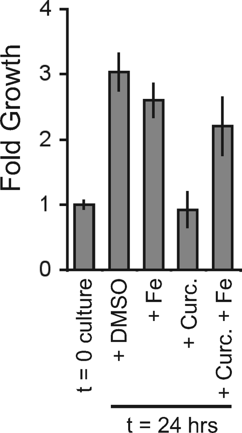 Fig. 5.