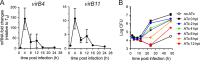 FIG 2