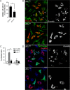 FIG 5