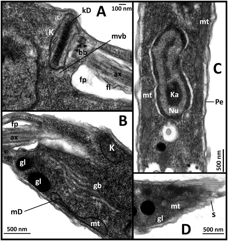 Fig 4