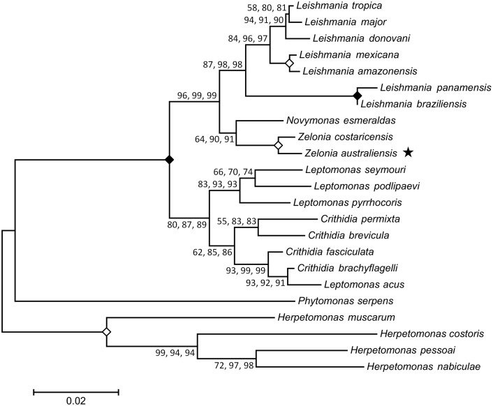 Fig 6