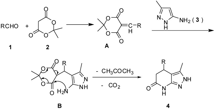 Scheme 2