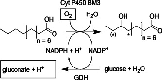 Scheme 1