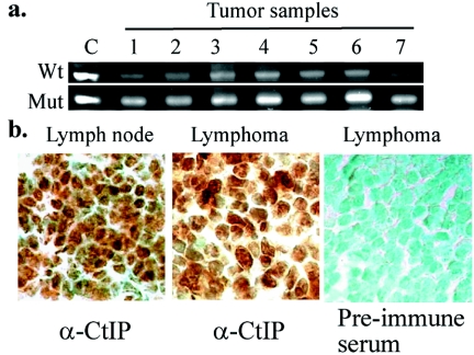 FIG. 7.