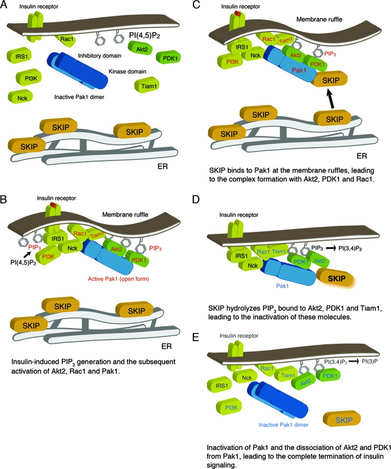 Fig 10