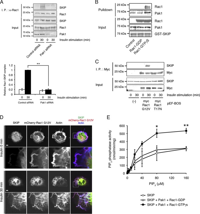 Fig 8