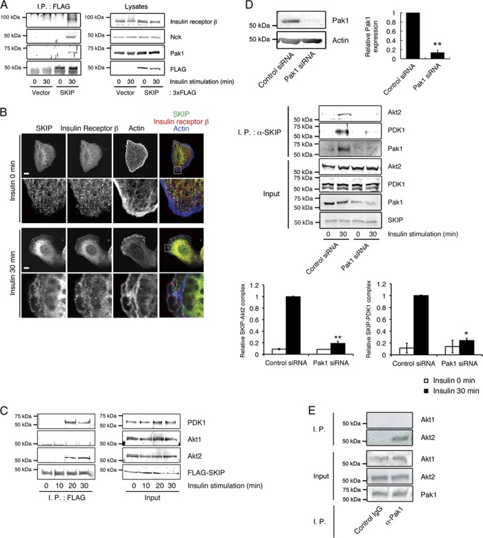 Fig 4