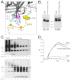 FIG 6