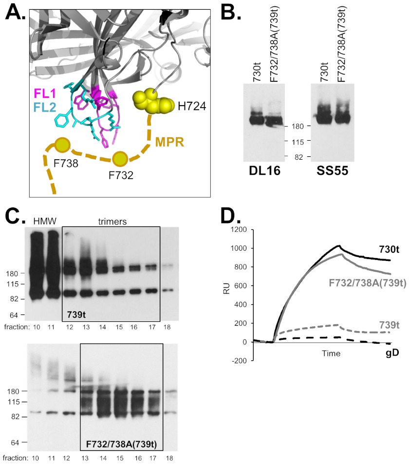 FIG 6