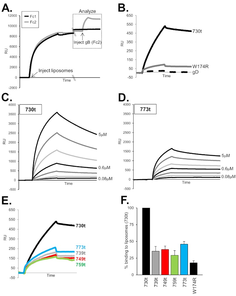 FIG 4