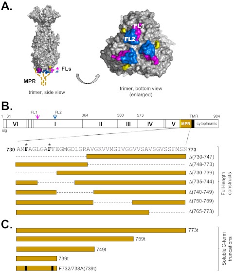 FIG 1