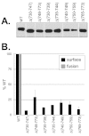 FIG 2