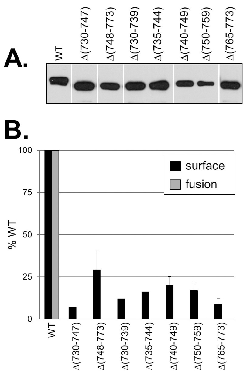 FIG 2