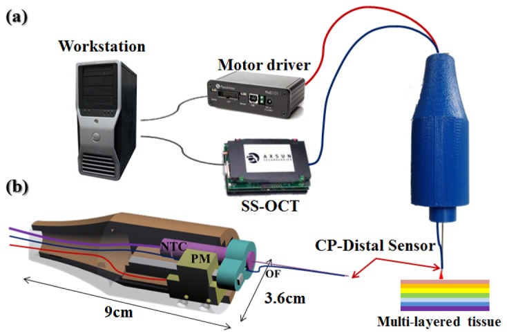 Fig. 2