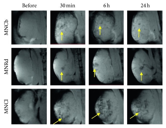 Figure 6