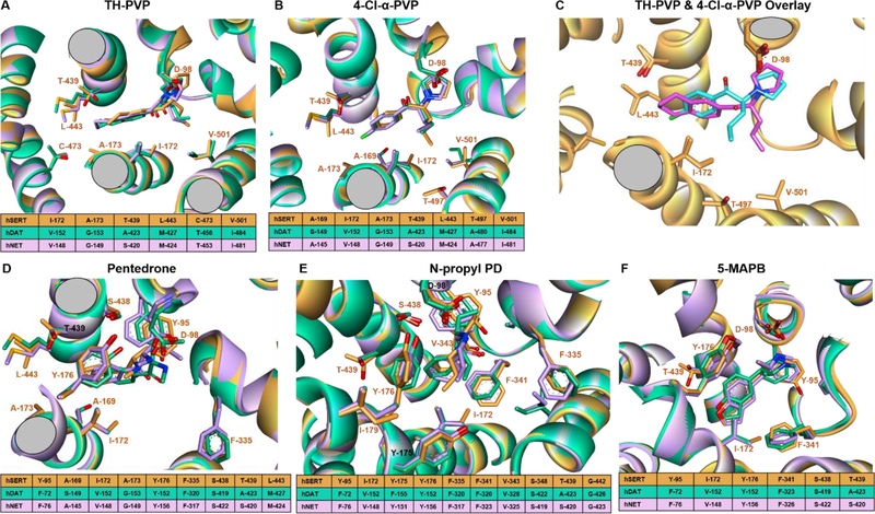 Figure 5.